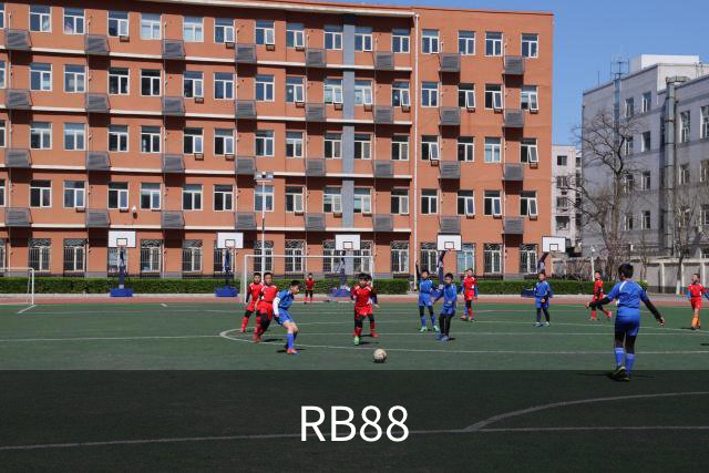 RB88公司介绍图
